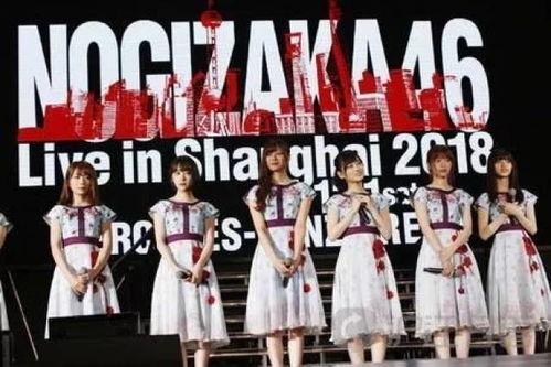 2024娱乐圈吃瓜回顾,年度热点事件回顾